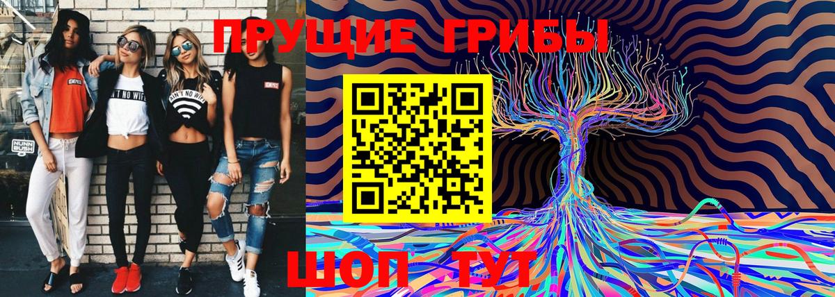Псилоцибиновые грибы мицелий  Галлюциногенные грибы ЛСД  Вход с VPN  Свободный 