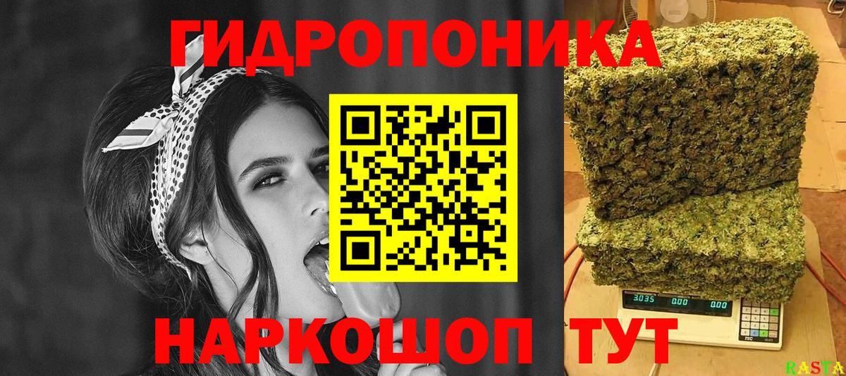 Конопля сатива Свободный